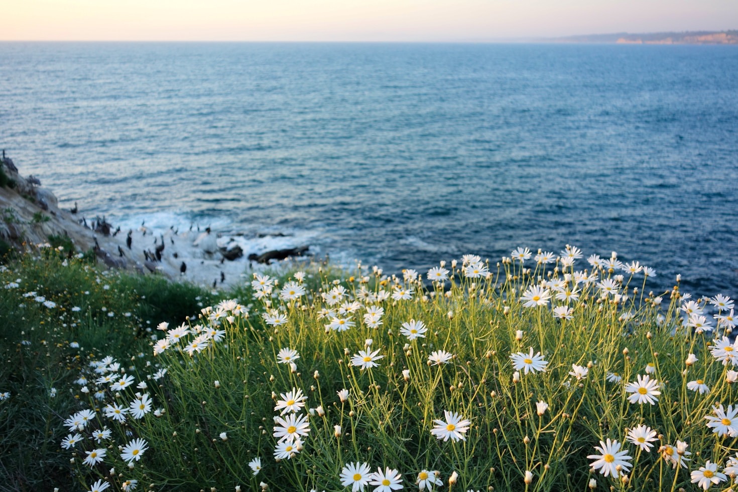How Stillness Sparks Creativity