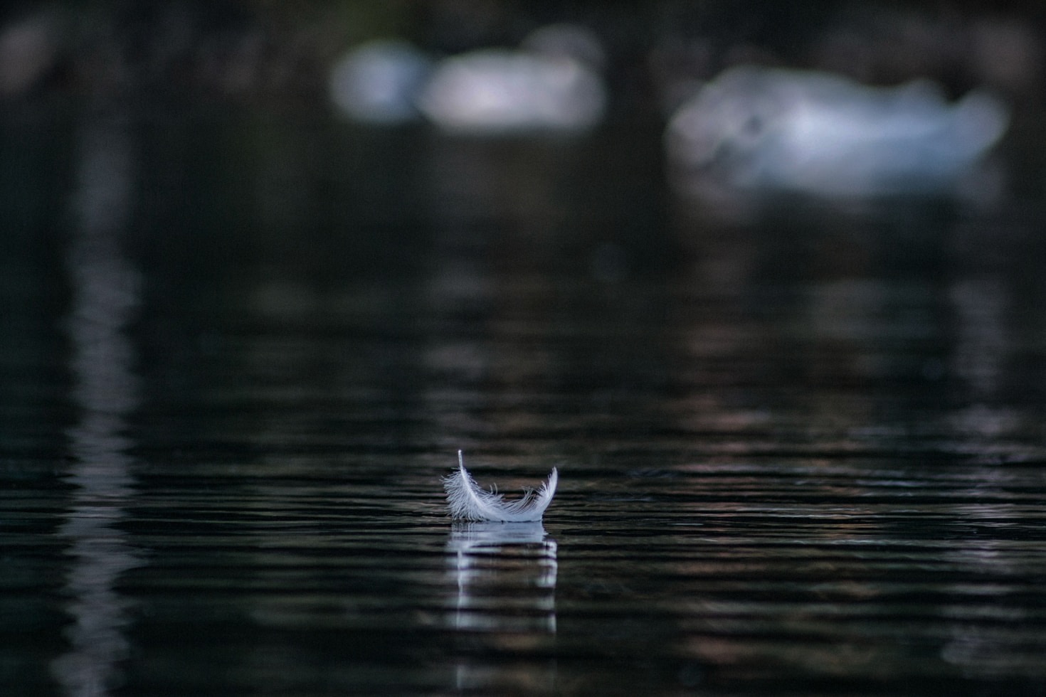 Living Mindfully in a Noisy World